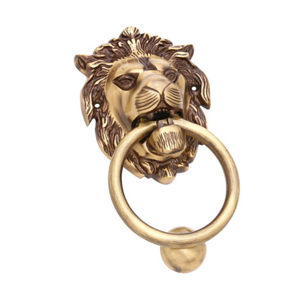 DK 44 REAL LION